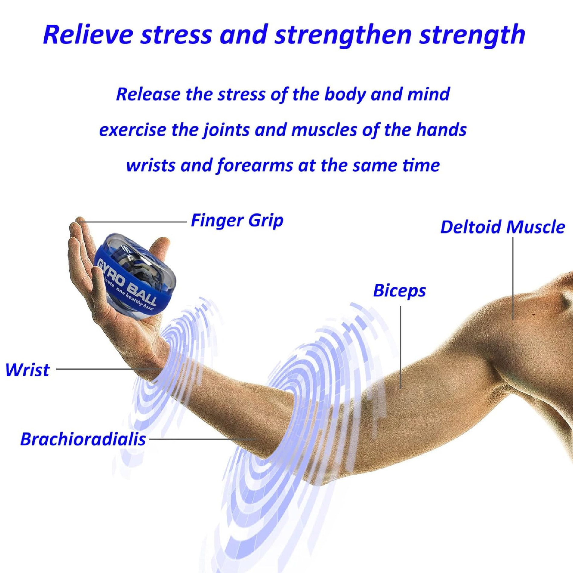 Miniatura 3 de Bola Giroscópica Entrena Muñecas Brazos